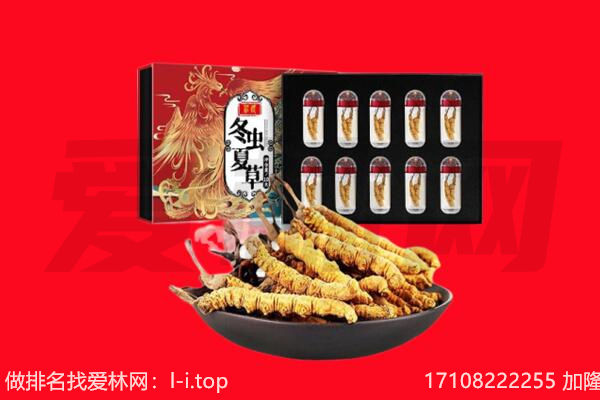 同德县虫草回收